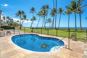 Ein Pool mit einer Schildkröte, umgeben von einem Zaun, Palmen und Blick auf das Meer.