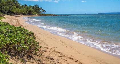 Hale Kai O Kihei 2 Bd 2 Ba Oceanfront Ocean View Condo! Sleeps 6