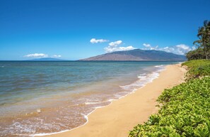 On the beach - Hale Kai O Kihei 2 Bd 2 Ba Oceanfront Ocean View Condo! Sleeps 6 (Kihei)