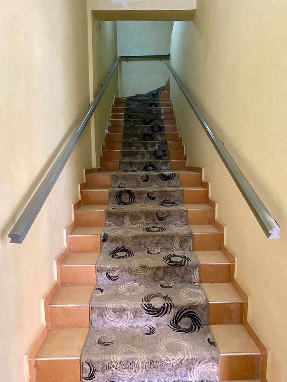 Una escalera con alfombra estampada y barandillas de metal.