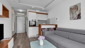 Living area - Brotis - StudioApartment (Baska Voda)