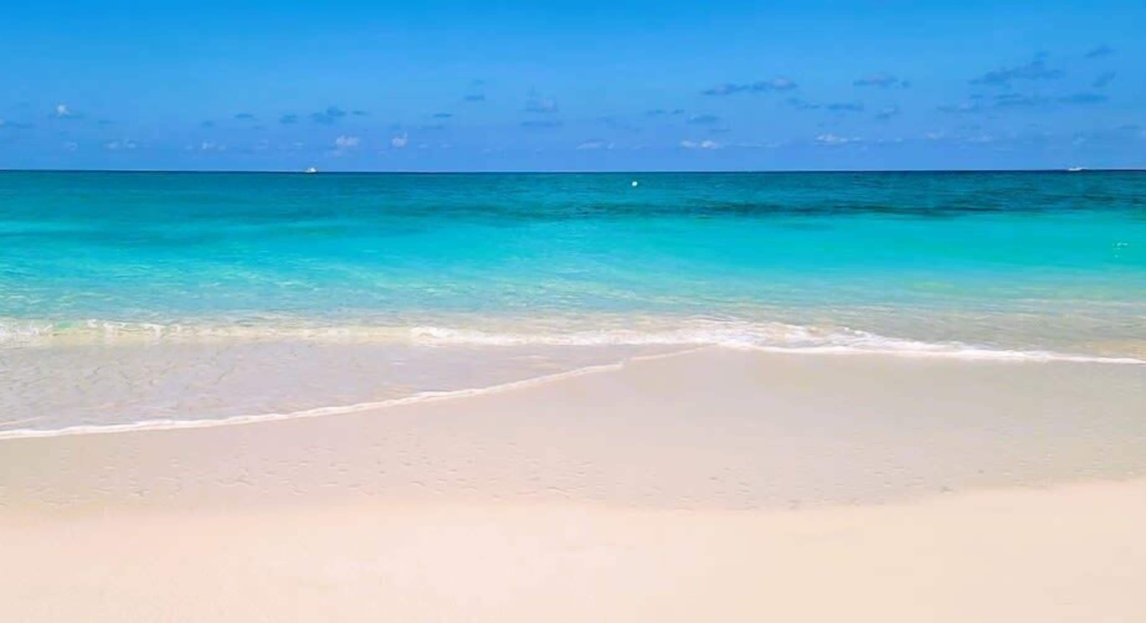 On the beach