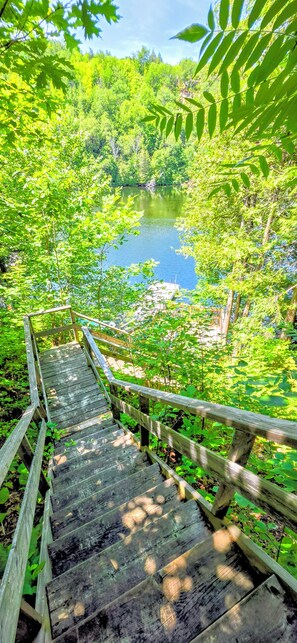A wooden staircase leading to a pond surrounded by lush greenery.