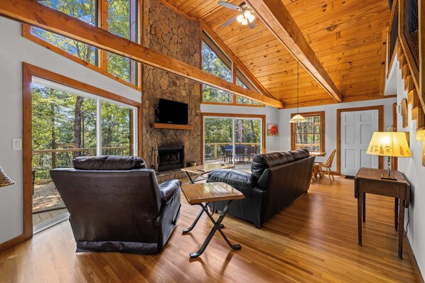 Smart TV, fireplace, books