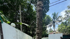 A concrete planter with a palm tree, surrounded by a white wall and a metal gate. - Explore Private Pool Villa Varkala (Varkala)