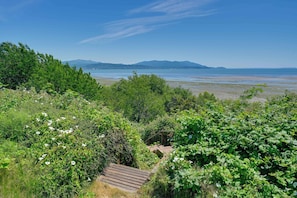 House (1 Bedroom) | Front of property - Waterfront Bellingham Bliss: Steps to Beach! (Bellingham)