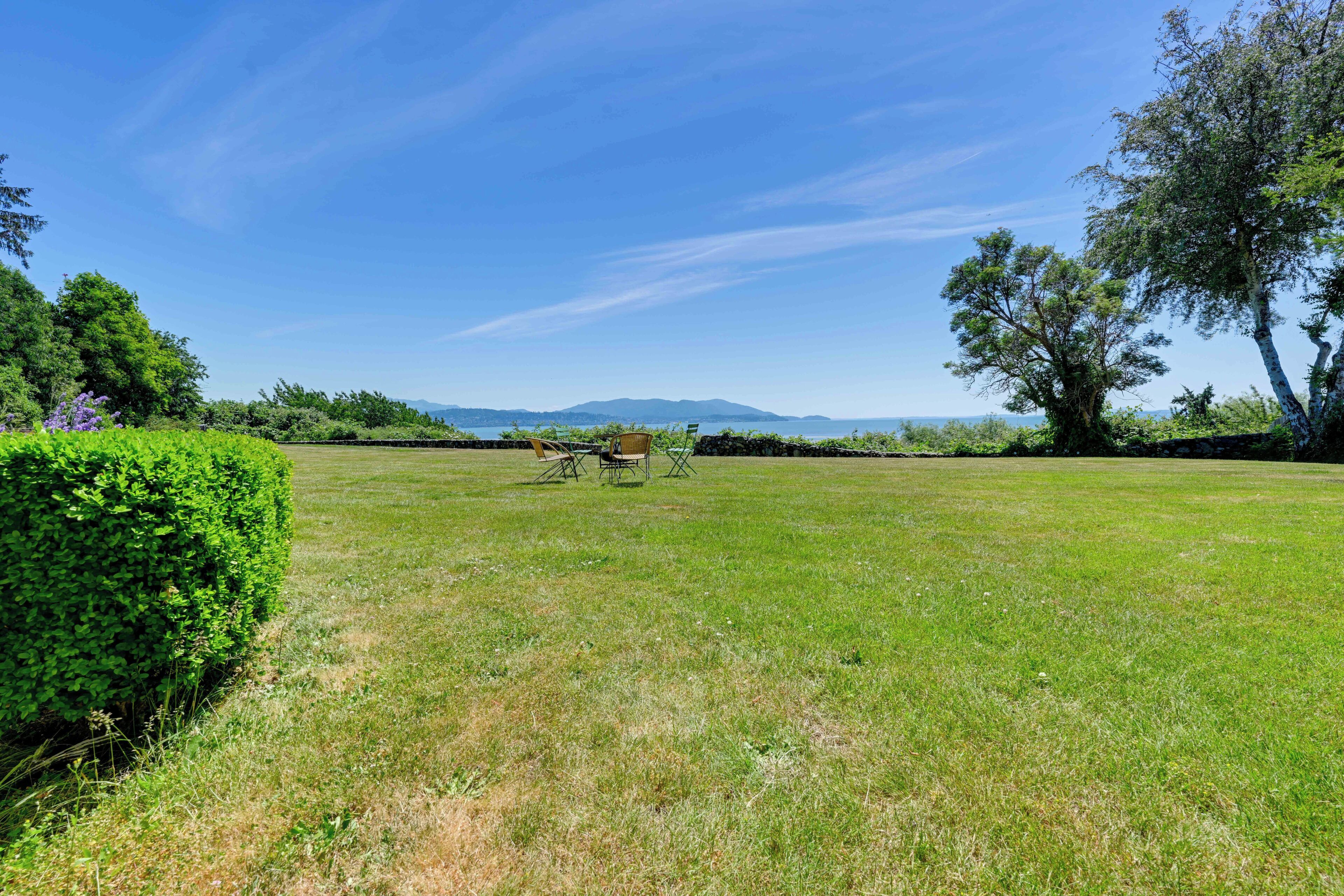 A grassy field with a clear sky, trees, and distant mountains.