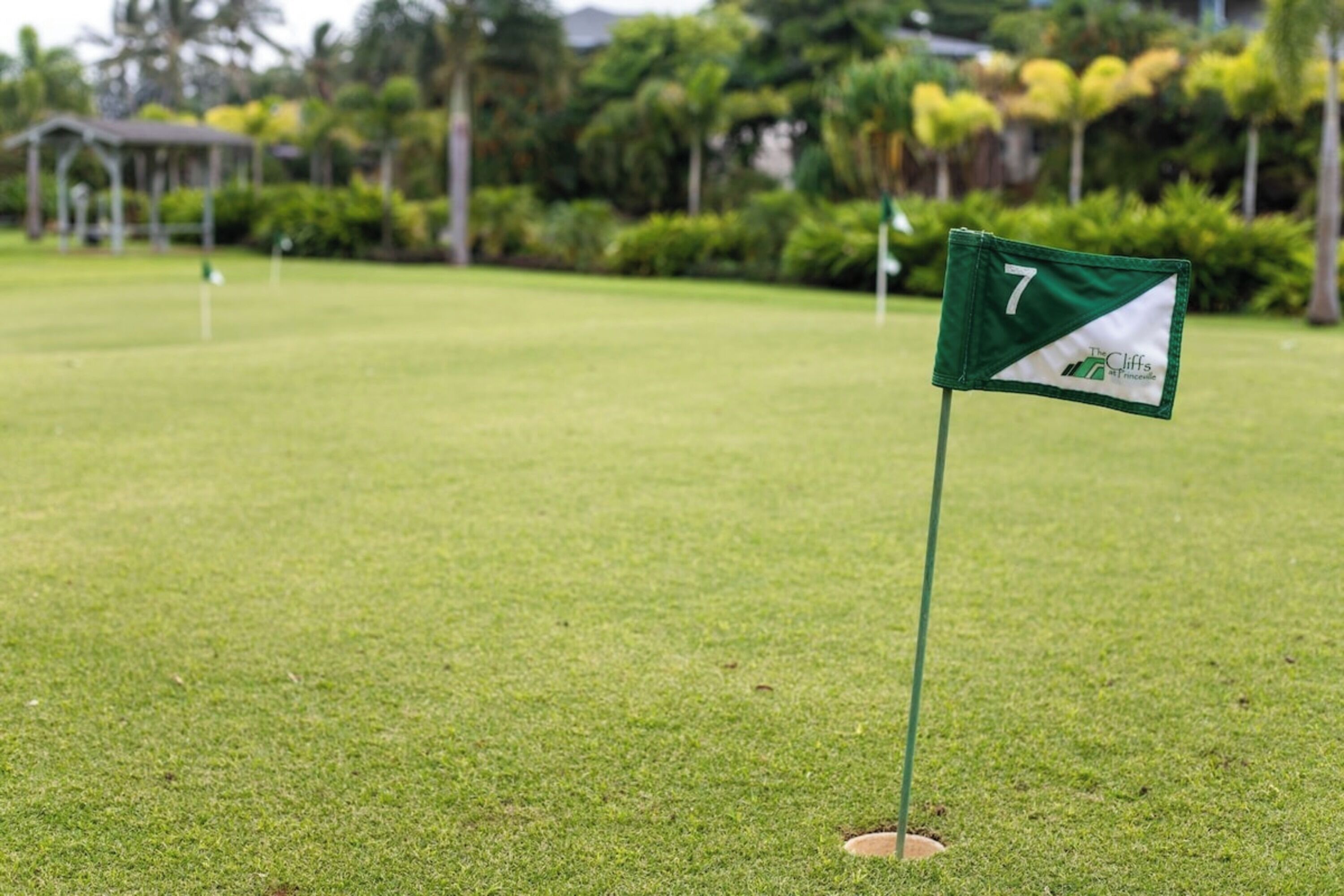 Un parcours de golf avec un drapeau indiquant le trou numéro 7.