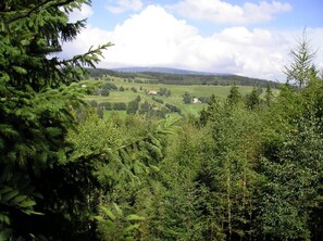 Un paysage verdoyant et luxuriant, avec une végétation dense et, au loin, une vallée parsemée de bâtiments.