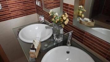 Regadera, secadora de cabello, toallas