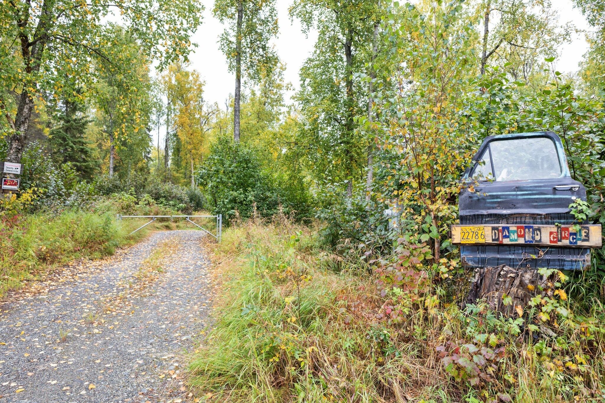 A gravel road with a car parked on the side, surrounded by dense foliage and trees.