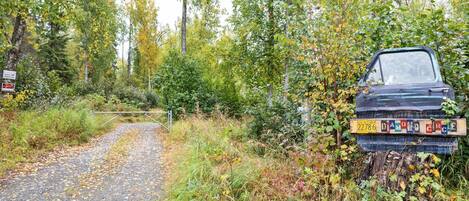 A gravel road with a car parked on the side, surrounded by dense foliage and trees.