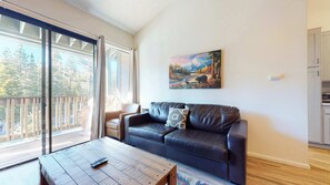 電視、壁爐、DVD 播放機