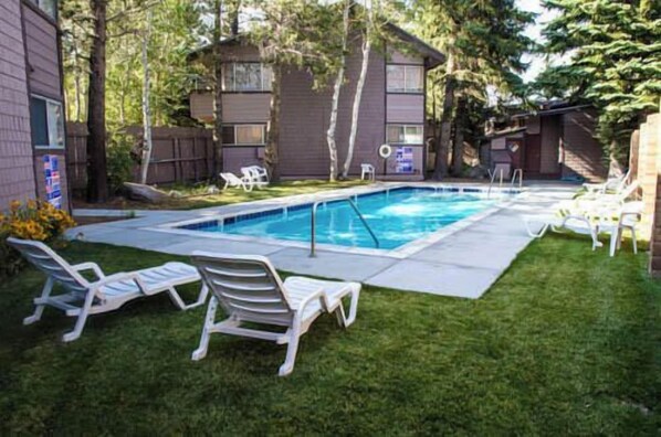A backyard with a swimming pool, surrounded by a grassy lawn and trees. - Pet Friendly | Walk to Shops, Dining & Shuttle (Mammoth Lakes)