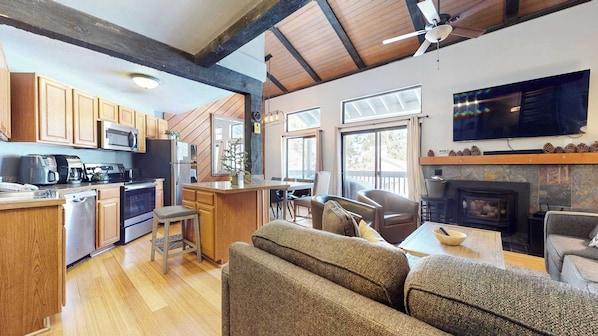 Télévision, cheminée, lecteur de DVD