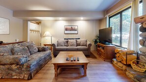 TV, fireplace, video games, DVD player