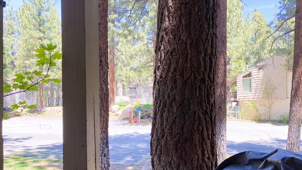 A view from a window overlooking a street with a tree in the foreground and a building in the background.