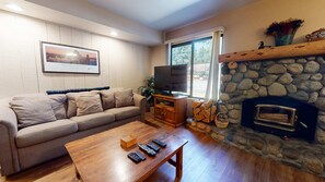 TV, fireplace, video games, DVD player