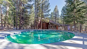 A swimming pool surrounded by tall trees, with a building in the background.