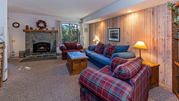 A cozy living room with a stone fireplace, plaid furniture, and a wooden wall.