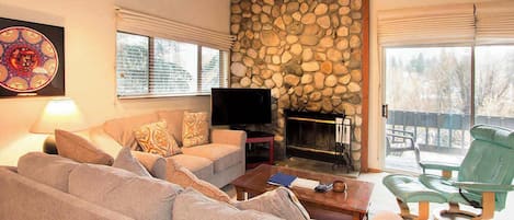 Televisión, chimenea y reproductor de DVD