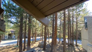 A covered outdoor area with tall trees, a paved path, and a building in the background.