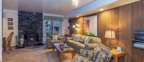 TV, fireplace, video games, DVD player