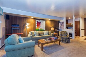 TV, fireplace, video games, DVD player