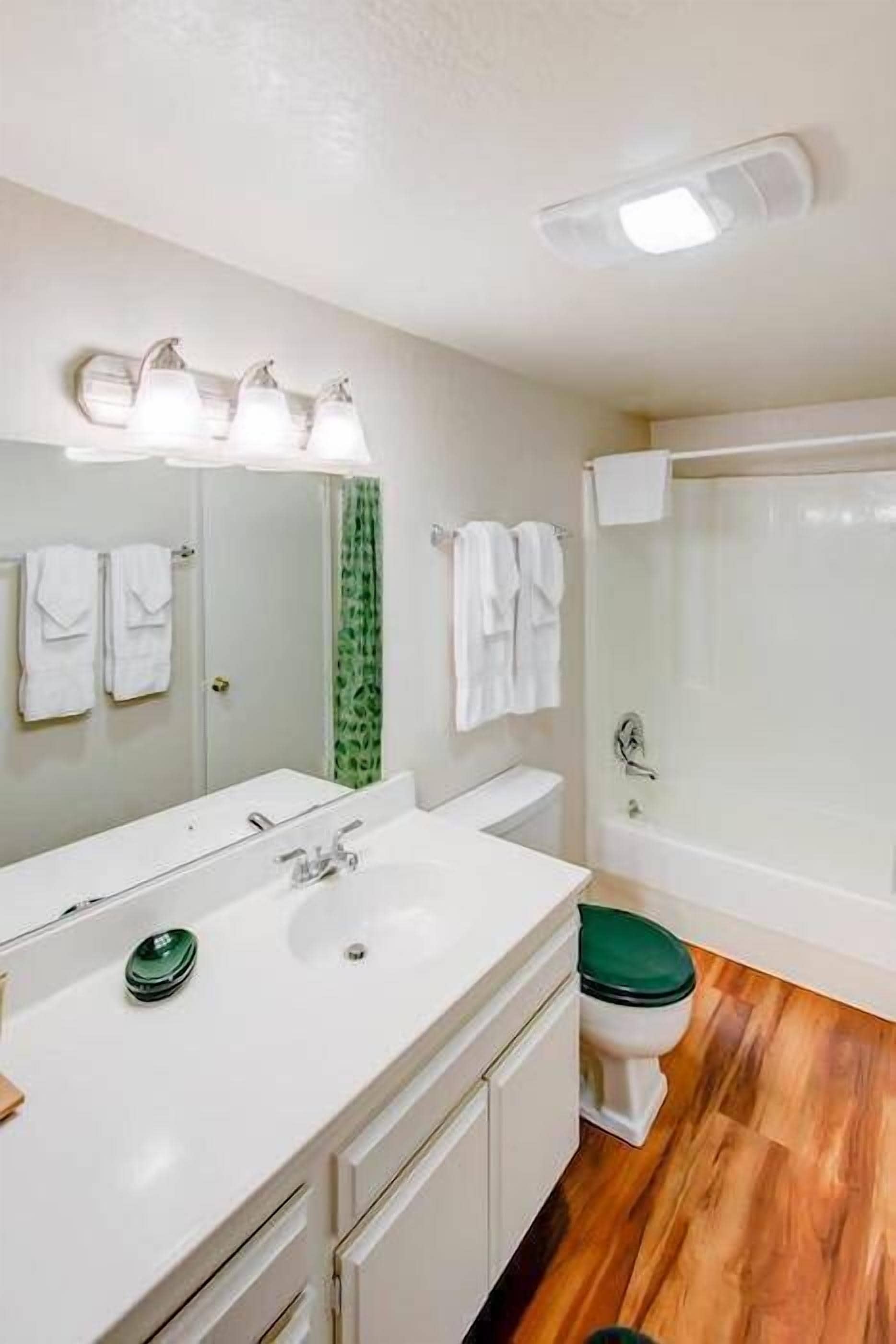 Shower, hair dryer