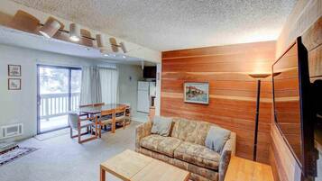 TV, fireplace, DVD player