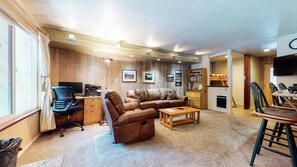 TV, fireplace, video games, DVD player