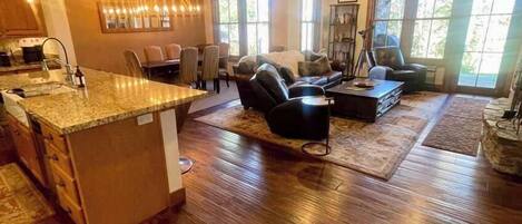 TV, fireplace, video games, DVD player