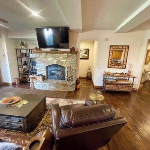 TV, fireplace, video games, DVD player