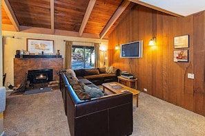 TV, fireplace, video games, DVD player