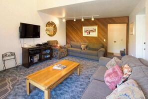 تلفزيون، مدفأة، مشغل دي في دي