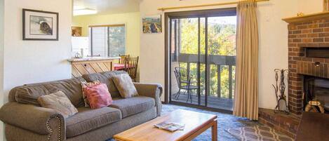 TV, fireplace, DVD player