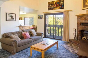 テレビ、暖炉、DVD プレーヤー