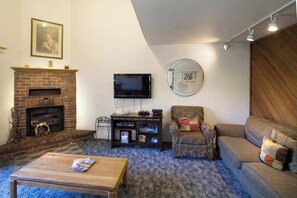 TV, fireplace, DVD player