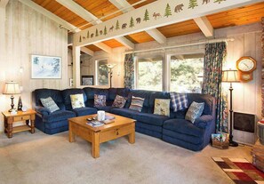 TV, fireplace, DVD player