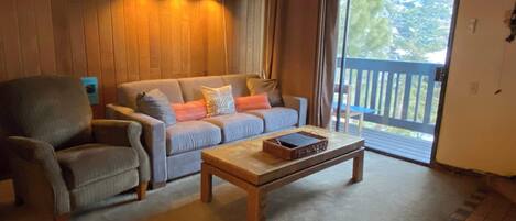 TV, fireplace, DVD player