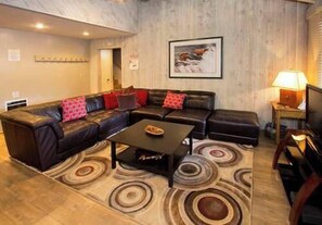 TV, fireplace, DVD player