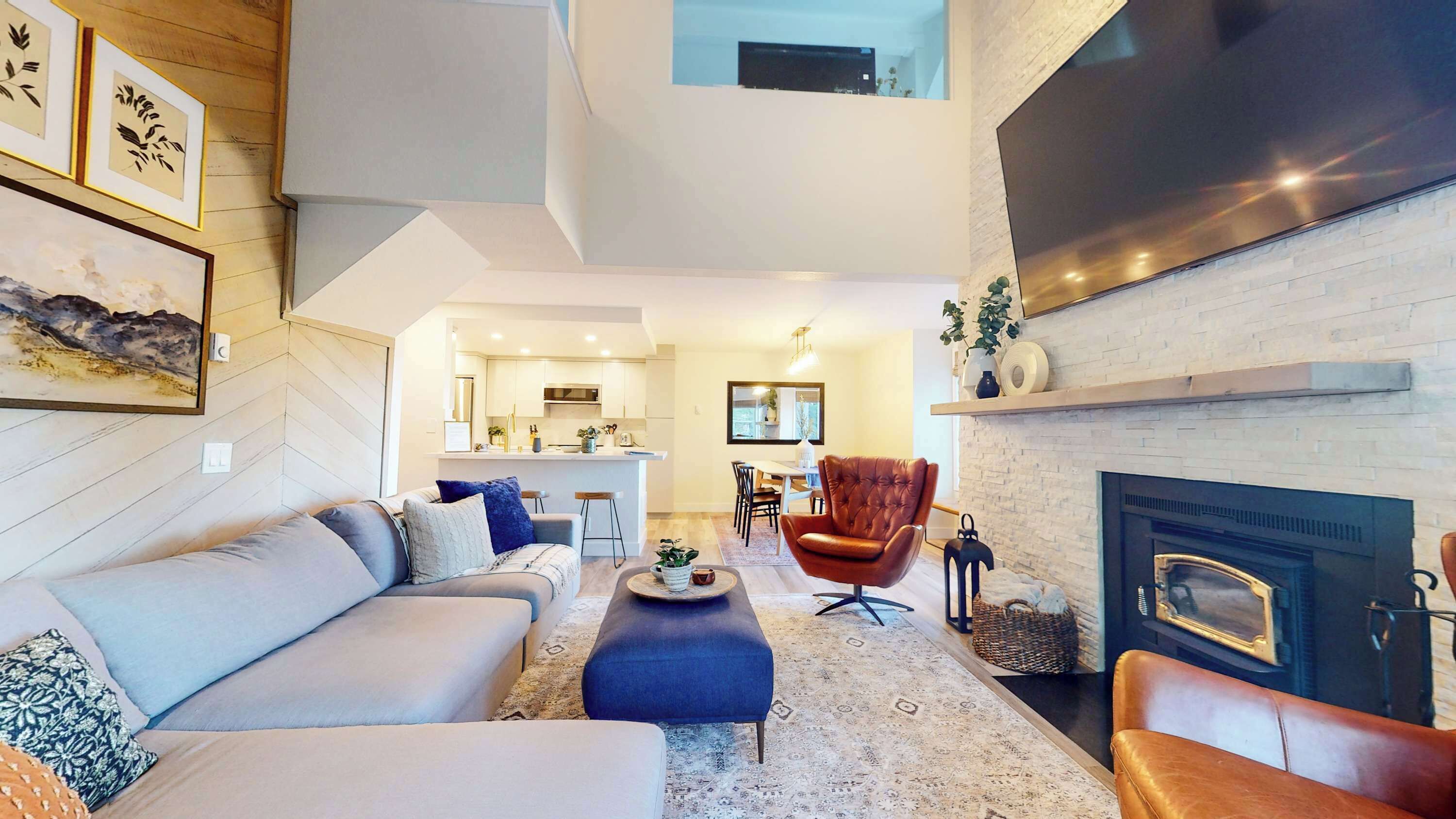 电视、壁炉、DVD 播放器