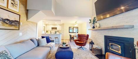 Télévision, cheminée, lecteur de DVD