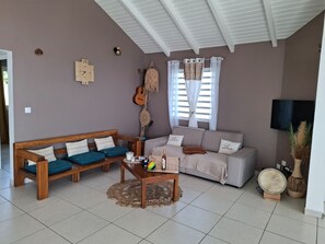 Smart TV, books, video library