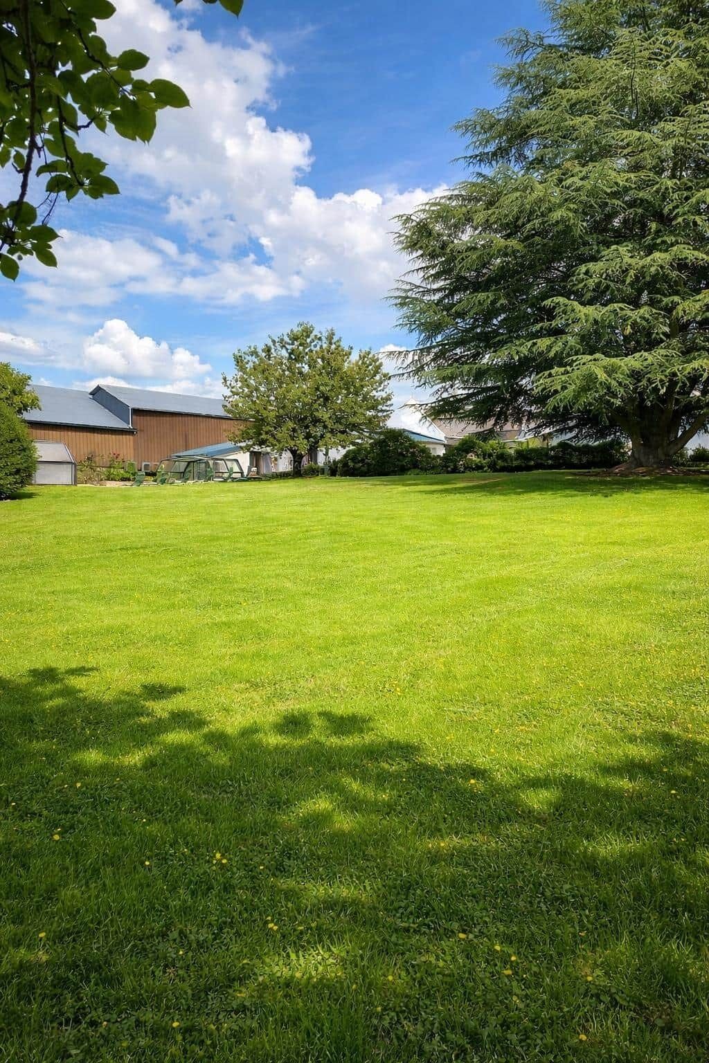 A grassy yard with a large tree, a barn, and a white building with a green roof.