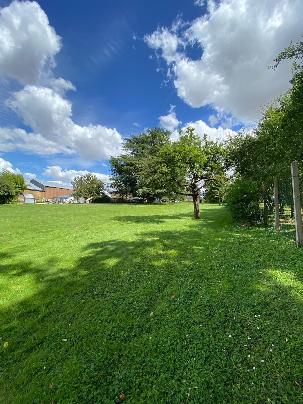 Un espace vert avec de l’herbe, des arbres et un bâtiment en arrière-plan.