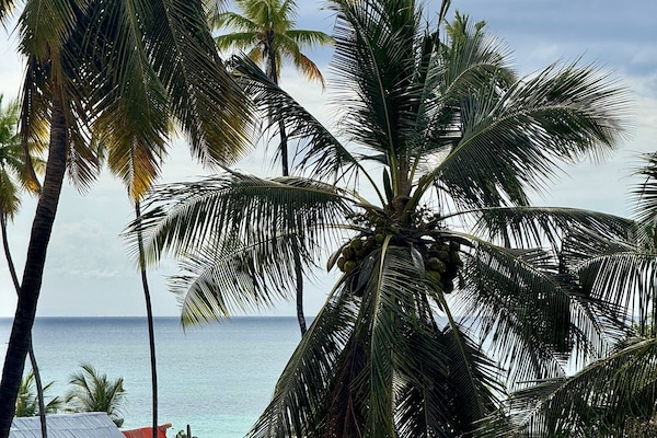 Vue sur la plage/l’océan