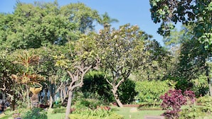A lush garden with various trees and plants, a paved walkway, and a lamp post. - The Fort of Old Town 1 by Our Madeira (Funchal)