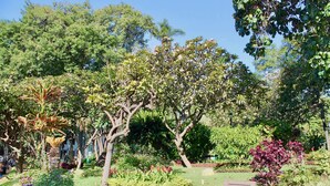 A lush garden with various trees and plants, a paved walkway, and a lamp post. - The Fort of Old Town 3 by Our Madeira (Funchal)