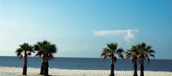 A222 Ocean Club Villa  A short walk to the beach